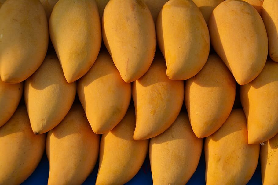 a collection of ripe, yellow mangoes closely packed together. Each mango has a smooth surface, indicating its ripeness. They are arranged in such a way that they cover the entire frame of the image, with only small glimpses of the background visible between them. The ambient light casts shadows, accentuating the shapes and curves of each individual fruit.