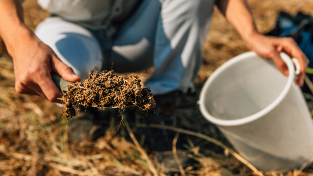 The image depicts a person kneeling on the ground, holding a clump of soil in one hand and a white bucket in the other.
The main focus is on a person’s hands holding a clump of dry, brown soil that is crumbling.
The individual is wearing light-colored pants and is kneeling on dry grassy ground.
A white plastic bucket with a handle is held in the other hand, appearing to be empty.
In the background, there’s more dry grass and soil visible, indicating an outdoor setting possibly experiencing dry weather conditions.